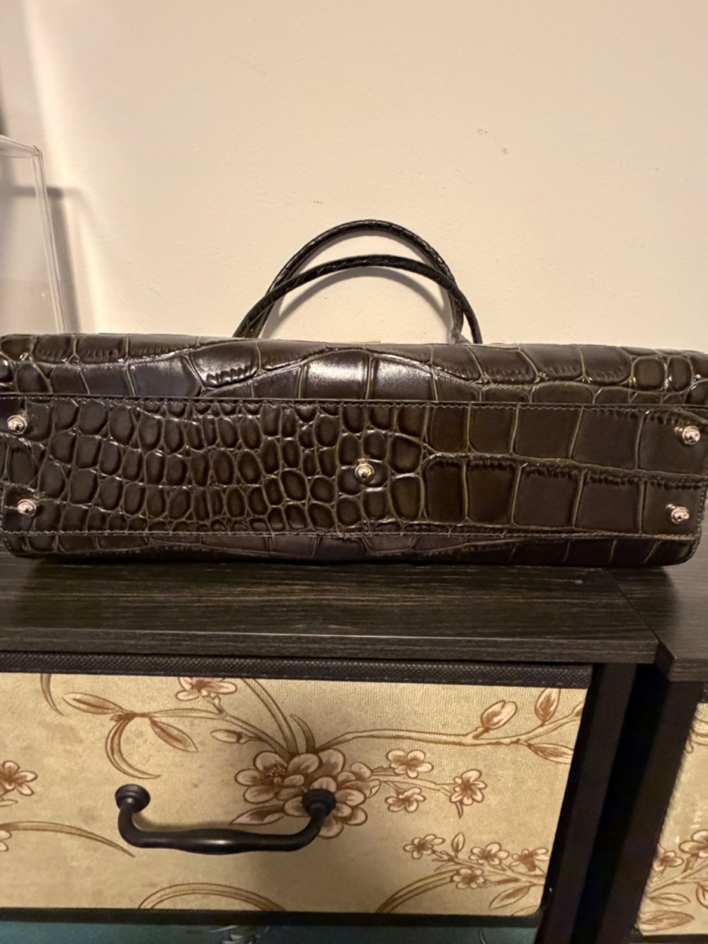 Brahmin Dayan Satchel in Matcha Green Baize — EUC Rare Mint Condition - Picture 3 of 4